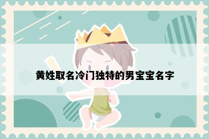黄姓取名冷门独特的男宝宝名字